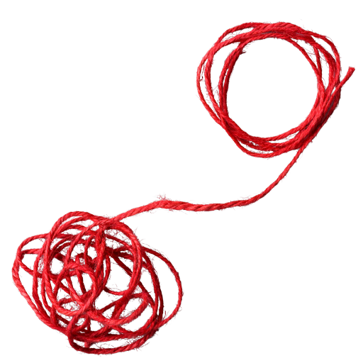 Rigor Científico Internacional